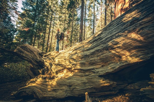 Comment découvrir les petites îles méconnues du Japon sans se ruiner?